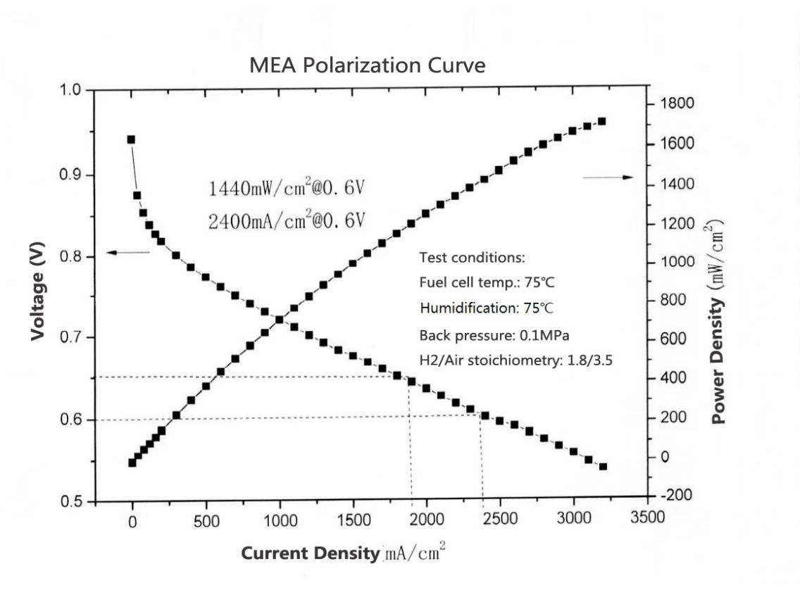 I-Fuel cell MEA membrane (3)